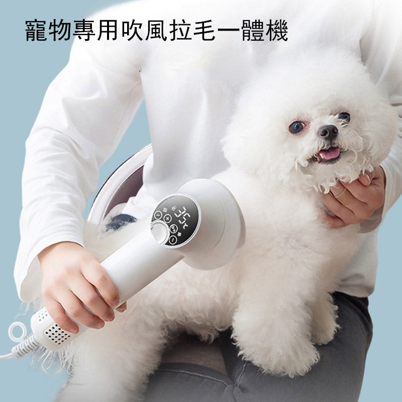 Pet-specific hair dryer 