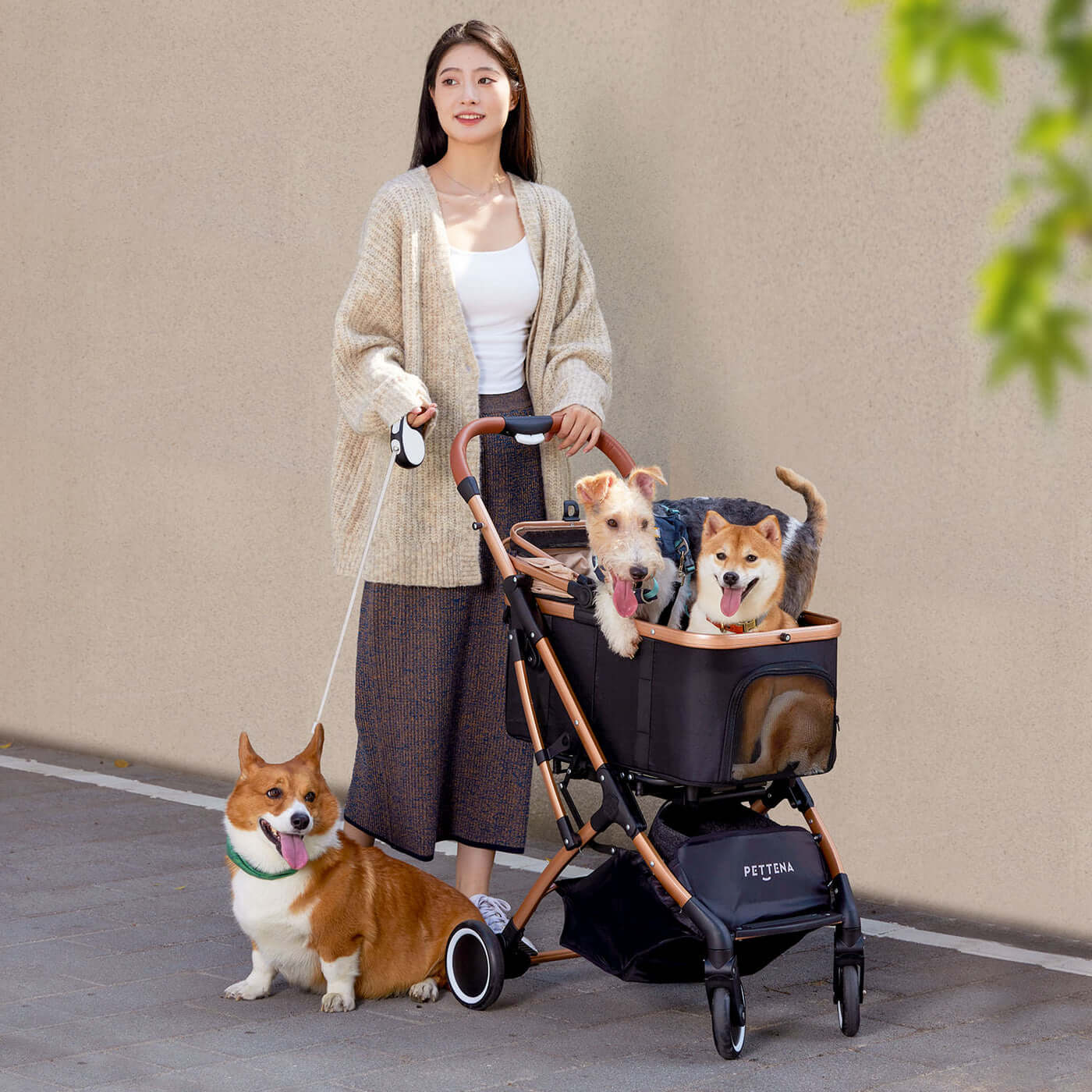 Foldable pet stroller