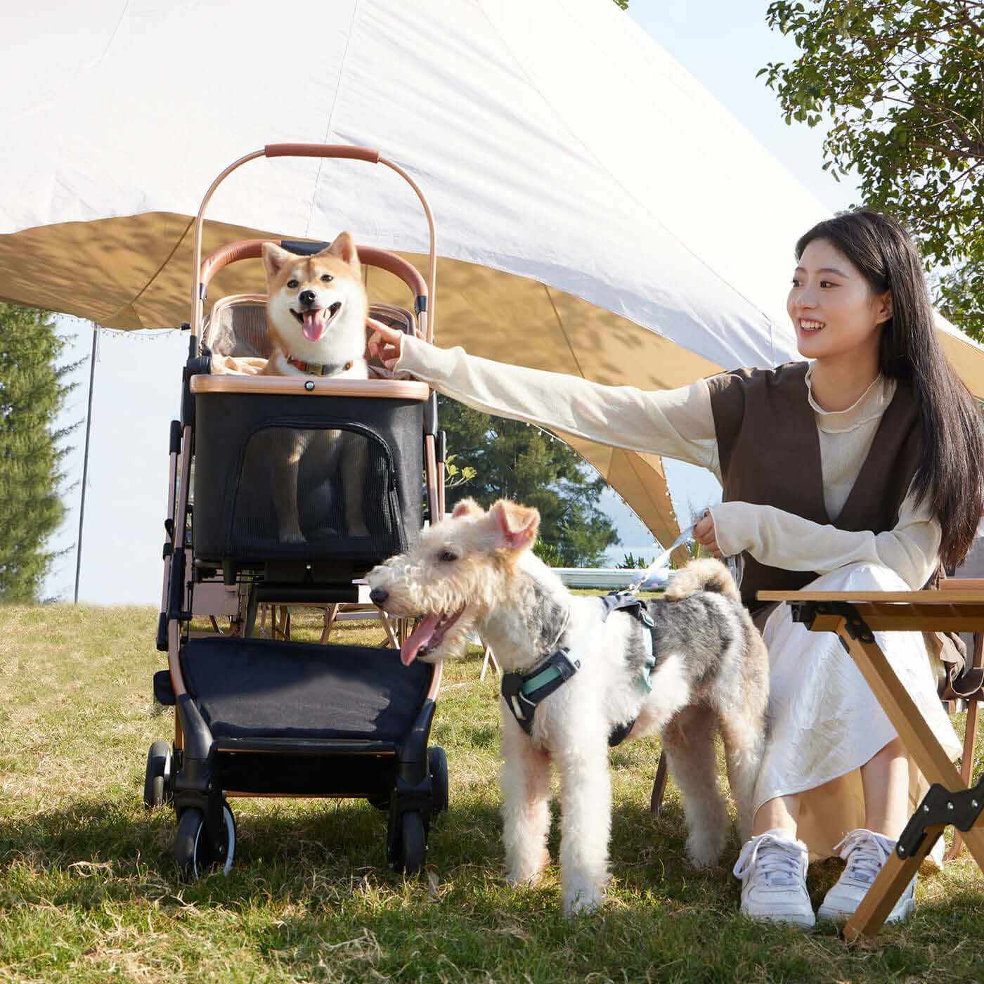 Foldable pet stroller