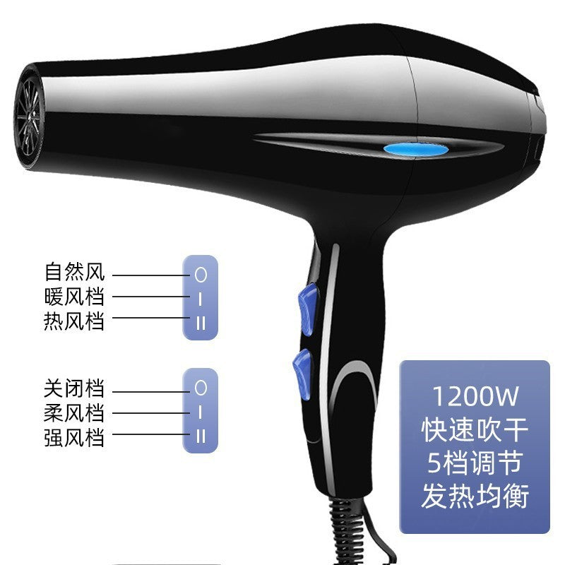 Pet-specific hair dryer 